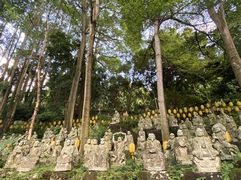 禪機山仙佛寺|禪機山仙佛寺｜南投國姓景點/必拍五百羅漢IG拍照景點(交通開放 